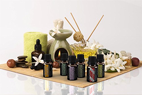 essential oils for diffuser bath aromatherapy gift set the revitalizing 6 of lavender peppermint eucalyptus lemongrass orange tea tree 100 pure therapeutic grade 10ml 5e18f6e5339eb