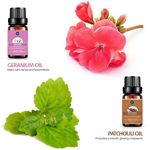 lagunamoon essential oils top 10 gift set pure essential oils gift set for diffuser humidifier massage aromatherapy skin hair care 5e1e762e4624e