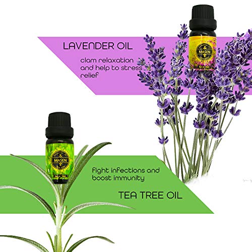 masen aromatherapy essential oil set for diffuser popular fragrance oils blends lavender rose lemon grass sweet orange tea tree peppermint long lasting scents 6 10ml 5e1e79b424273