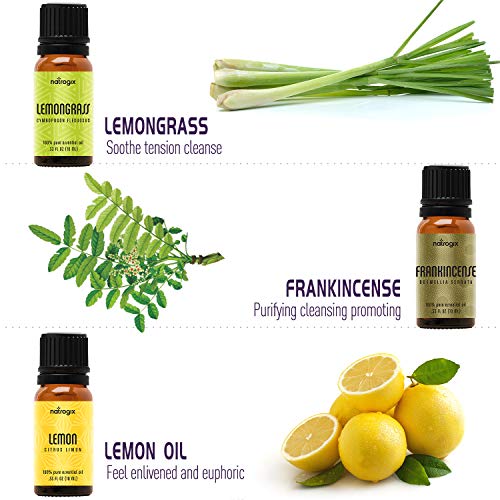 natrogix bliss aromatherapy top 9 essential oils set 100 pure therapeutic grade tea tree lavender eucalyptus frankincense lemongrass lemon rosemary orange peppermint made in usa 5e18f517682c6