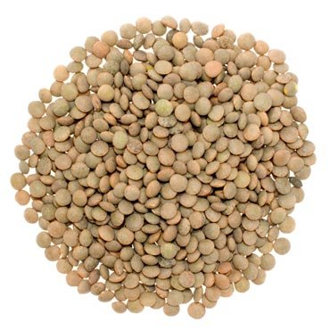 non gmo project verified pardina lentils small brown lentils 100 non irradiated certified kosher parve usa grown field traced we tell you which field we grew it in 5lb 5e1e691240a69