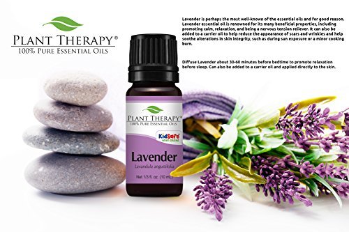 plant therapy lavender essential oil 100 pure undiluted natural aromatherapy therapeutic grade 100 ml 3 3 oz 5e19f1735ee64