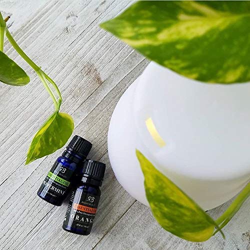 radha beauty aromatherapy top 8 essential oils 100 pure therapeutic grade basic sampler gift set kit lavender tea tree eucalyptus lemongrass orange peppermint frankincense 5e18f420208ba