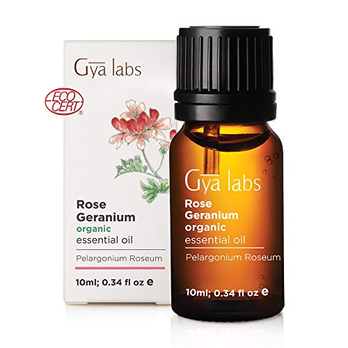 rose geranium essential oil organic beautifying elixir for ageless skin 10ml 100 pure therapeutic grade organic rose geranium oil 5e19f00f8c9da