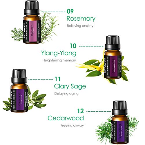 urpower essential oils 16x10ml 100 pure aromatherapy essential oil gift set with lavender sweet orange peppermint lemon rosemary grapefruit etc for essential oil diffuser massage spa 5e18f36625b44