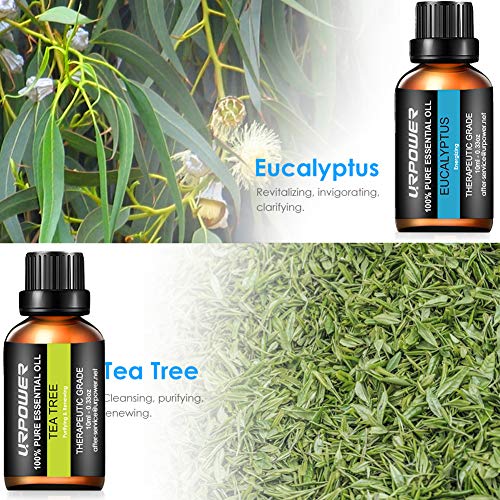 urpower essential oils top 8 aromatherapy essential oils 100 pure therapeutic grade essential oils set lavender peppermint tea tree orange eucalyptus lemongrass frankincense rosemary 5e18f6a7dc4d7
