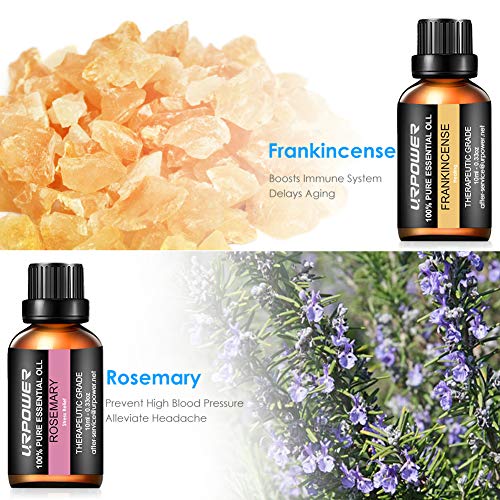 urpower essential oils top 8 aromatherapy essential oils 100 pure therapeutic grade essential oils set lavender peppermint tea tree orange eucalyptus lemongrass frankincense rosemary 5e18f6a88a261