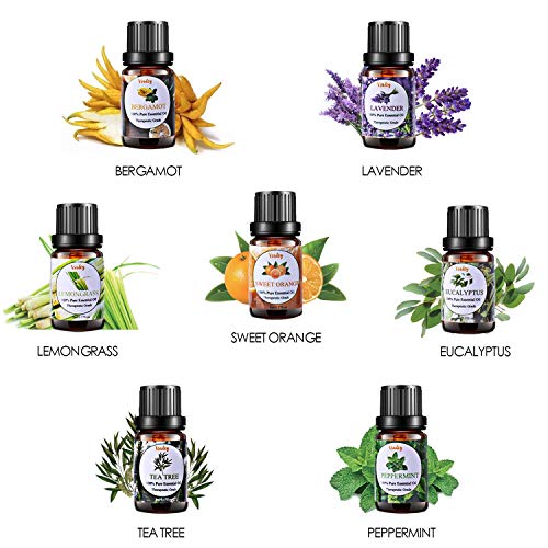 vsadey essential oils set 100 pure aromatherapy essential oil kit for diffuser humidifier massage skin care lavender eucalyptus peppermint tea tree sweet orange lemongrass 20 x 5ml 5e1e76c587eef